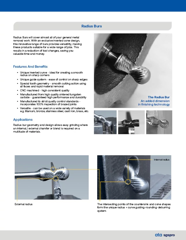 Radius Burs